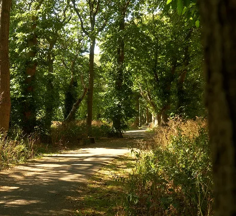 Parks In Mind Project